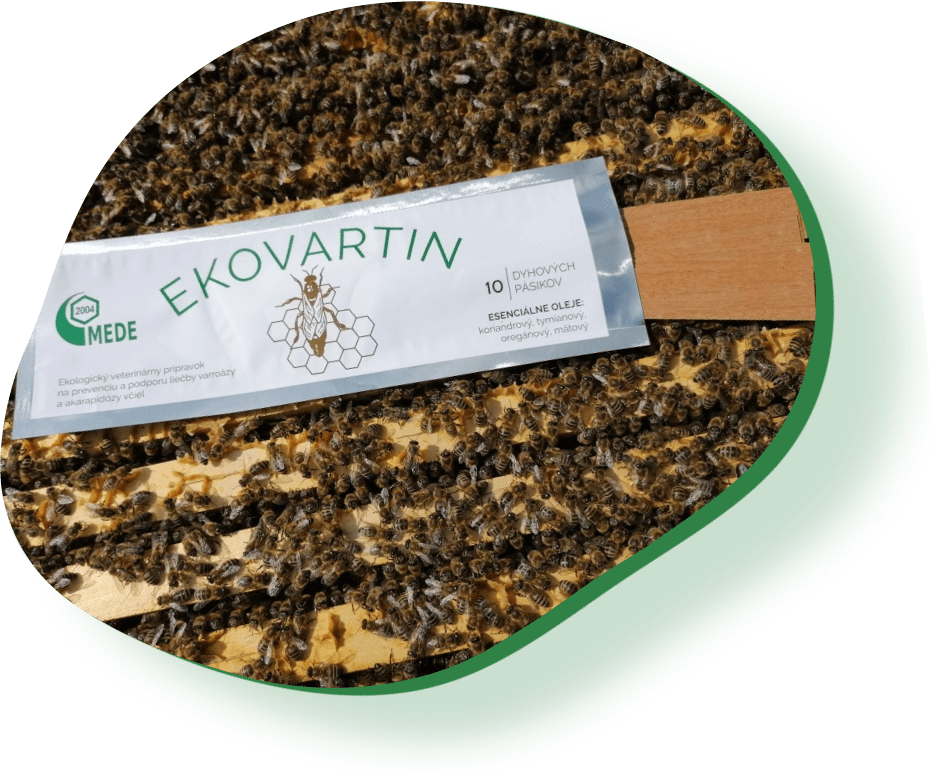 Ekovartin